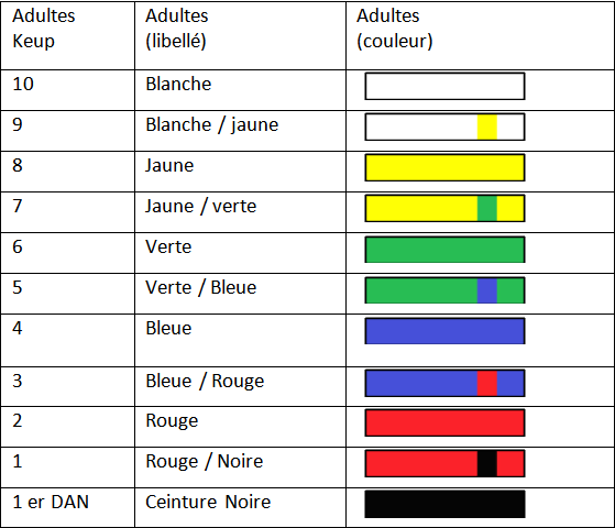 Les Cours Ados Et Adultes Acad mie SQY Taekwondo les-cours-ados-et-adultes-acad-mie-sqy-taekwondo